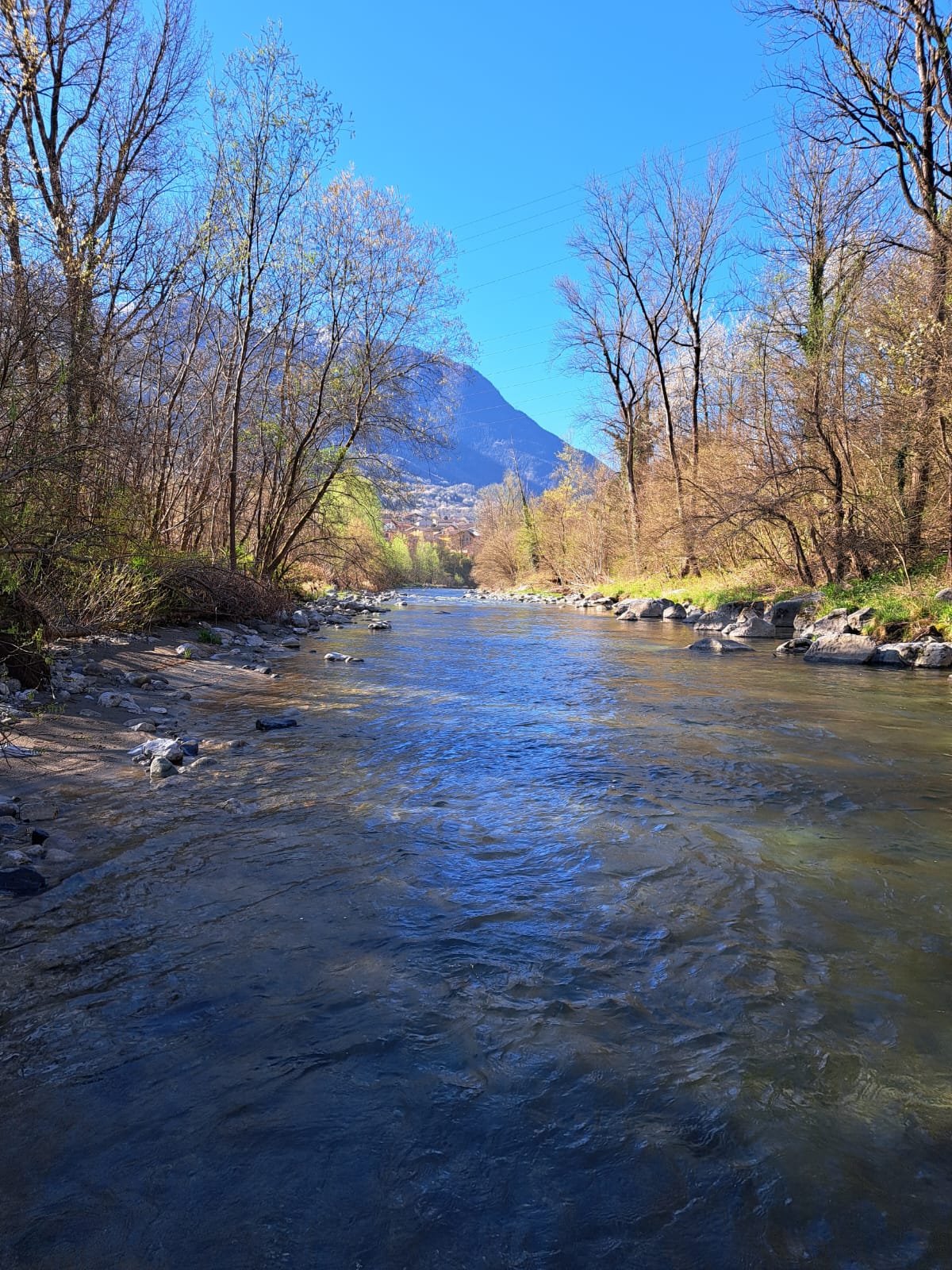 Spot di pesca a mosca in Valle Camonica, ideale per tecniche leggere